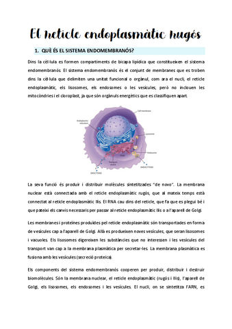 Tema-3-El-sistema-endomembranos.pdf