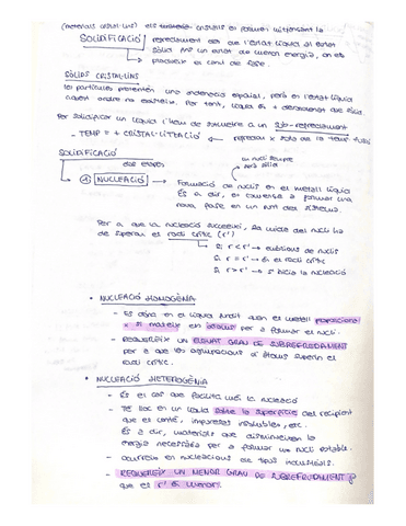 apunts-nucleacio-i-creixement.pdf