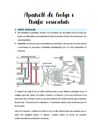 Seminari-2-Aparell-de-Golgi-i-trafic-vesicular.pdf