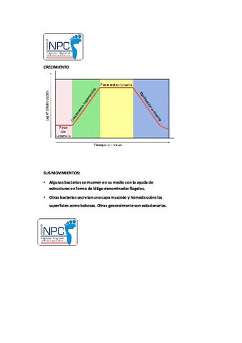Original-manual-de-podologia-clinica-3.pdf