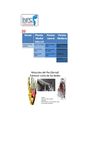 Original-manual-de-podologia-clinica-14.pdf