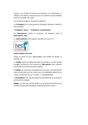 Original-manual-de-podologia-clinica-24.pdf