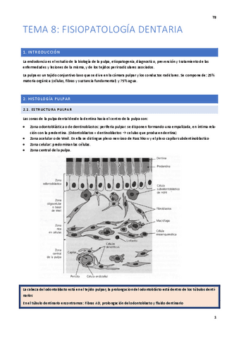 2o-Cuatrimestre.pdf