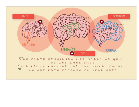 Emocional-y-racional.pdf