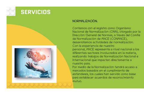 ANCE-servicios-nrmalizacion.pdf
