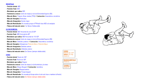 FINALPractica-Palancas-EESS-5.pdf