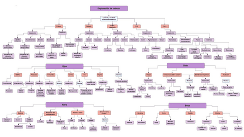 Exploracion-Cabeza-y-Cuello-Mapa-conceptual.pdf
