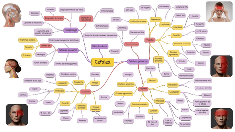 Cefalea-Mapa-conceptual.pdf