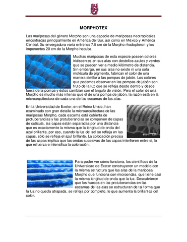 MORPHOTEX.pdf