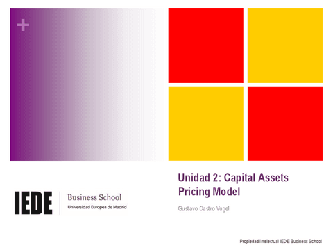 MFI203PVideo2-CAPM-CMLSML.pdf