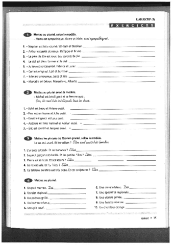 Activites-Adjectifs.-Singulier-et-Pluriel-06-10-2021-1.pdf