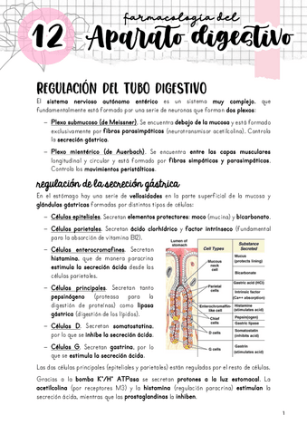 Tema-12.-Farmacologia-del-aparato-digestivo.pdf