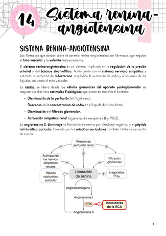 Tema-14.-Sistema-renina-angiotensina.pdf