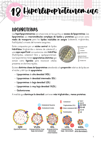 Tema-18.-Hiperlipoproteinemias.pdf