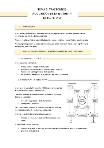 TEMA-5-AFASIAS.pdf