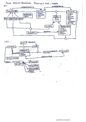 Practica-1-Modelos.pdf