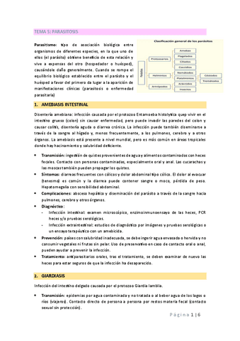 TEMA-5-MICRO.pdf