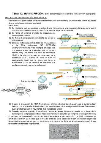 BIOQUIMICA-TEMA-10.pdf