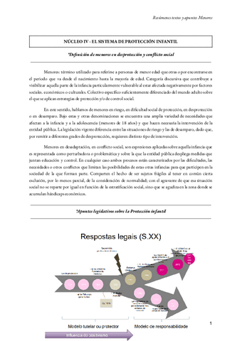 Resumenes-y-apuntes-nucleo-IV.pdf