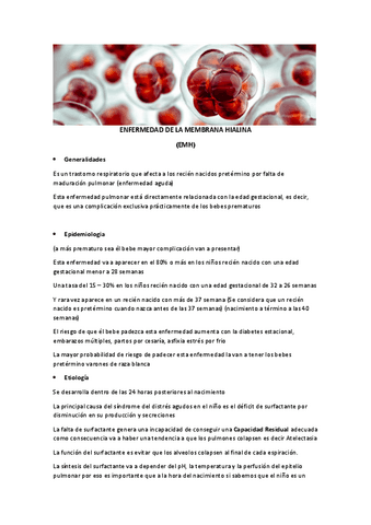 EMH-resumen-cortito.pdf