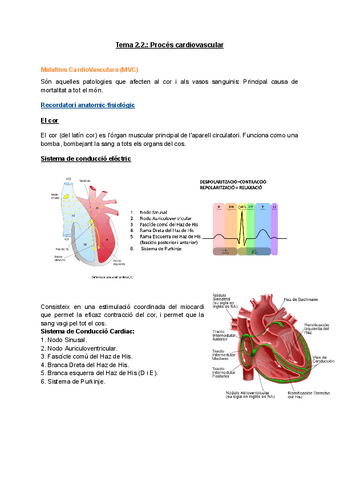 Tema-2.2.-Proces-cardiovascular.pdf