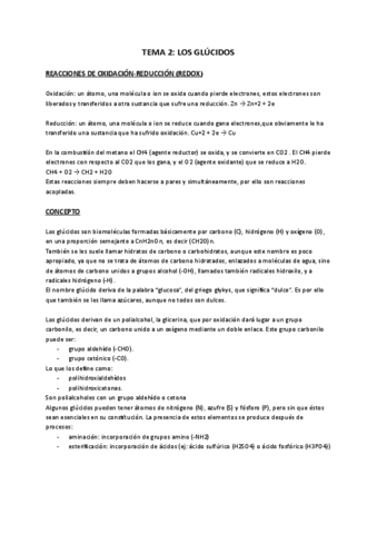 tema-2--glucidos-Documentos-de-Google.pdf