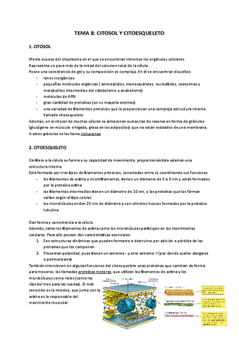 tema-9-citosol-y-citoesqueleto-Documentos-de-Google.pdf