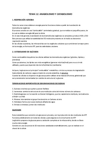 tema-13-anabolismo-y-catabolismo-Documentos-de-Google.pdf