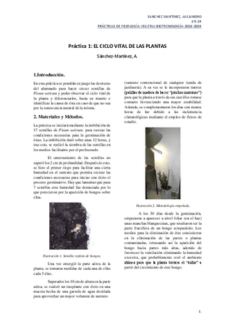 P1.-Ciclo-Vital-Plantas-convertido.pdf