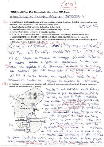 Examen-Isabel-Maestre.pdf