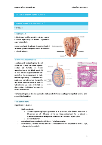 Tema-15-sistema-reproductor.pdf