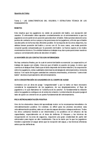 Apuntes-voley.pdf
