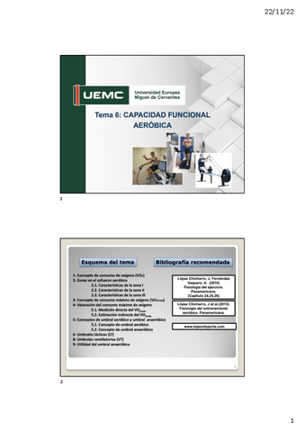 TEMA-6.pdf