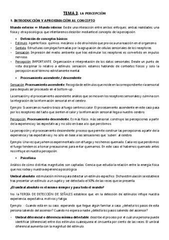 3.-PERCEPCION.pdf