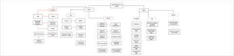 Cajas-del-activo-y-pasivo.pdf