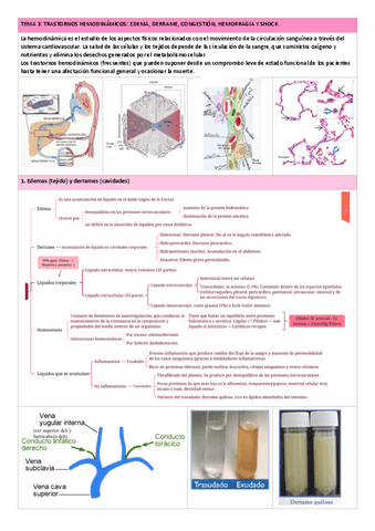 TEMA-3.-Trastornos-hemodinamicos-1.pdf