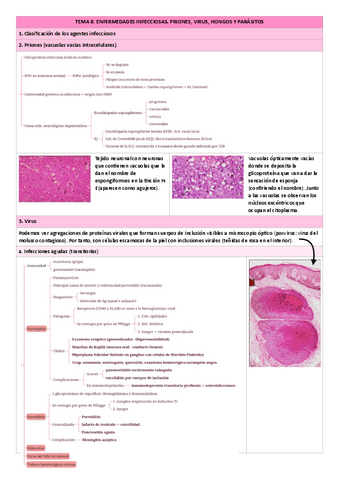 Tema-8.-Infeccioso-II.pdf