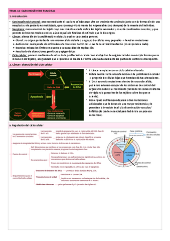 Tema-14.-Carcinogenesis-tumoral.pdf