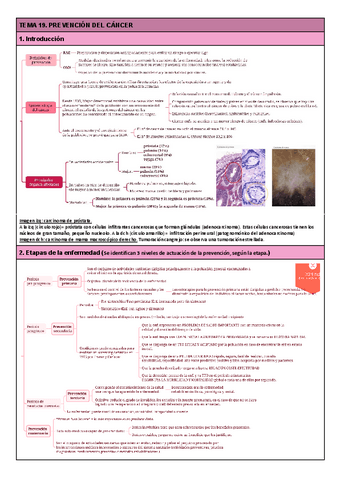 TEMA-19.-Prevencion-del-cancer.pdf