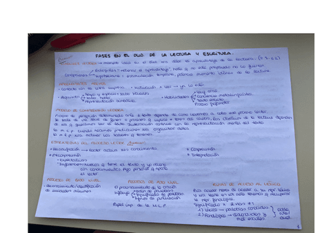 FASES-DIDACTICA-DE-LA-LENGUA.pdf