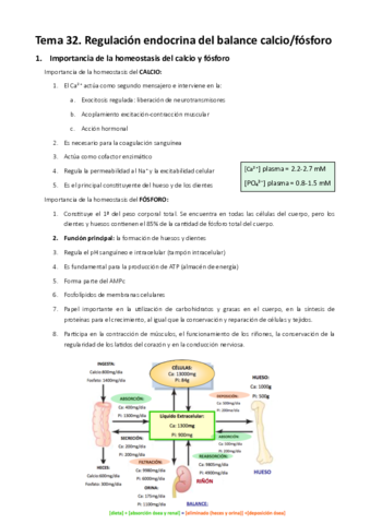 MT32. Regulación endocrina del balance calcio:fósforo.pdf