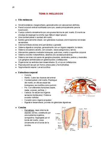 TEMA-9-Moluscos.pdf