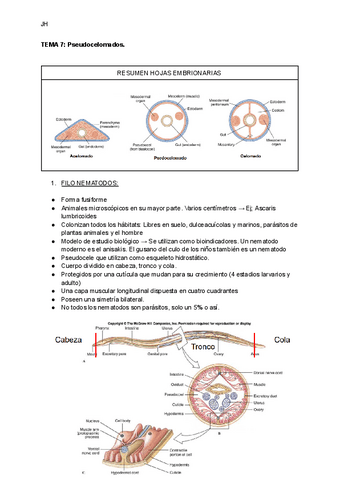 TEMA-7-Pseudocelomados.pdf