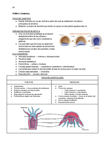 TEMA-5-Cnidarios.pdf