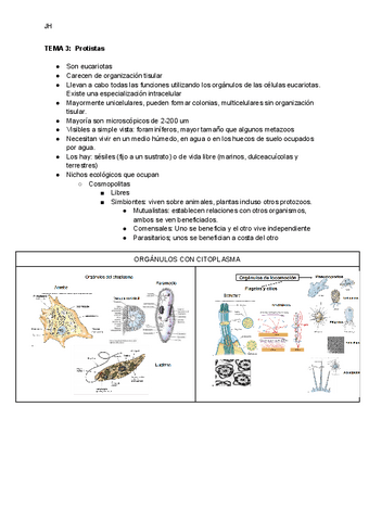 TEMA-3-Protistas.pdf