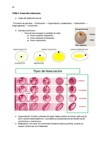 TEMA-2-Desarollo-embrionario.pdf