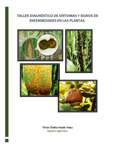 TALLER-DIAGNASTICO-DE-SANTOMAS-Y-SIGNOS-DE-ENFERMEDADES-EN-LAS-PLANTAS.pdf