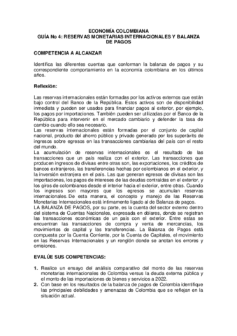 4.-RMI-y-Balanza-de-Pagos.pdf