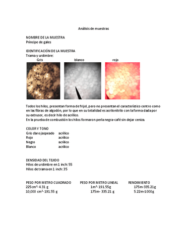 Analisis-de-principe-de-gales.pdf