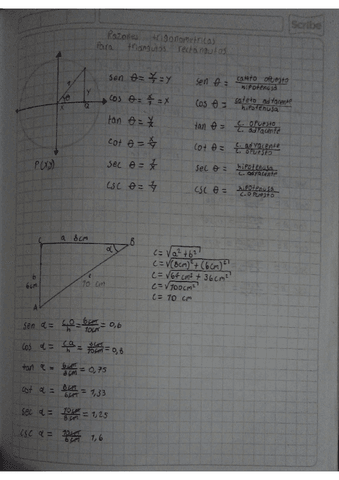 Razones-trigonometricas.pdf